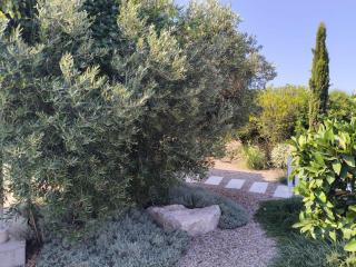 Casa Chica 2 - Sanlúcar de Barrameda - 4