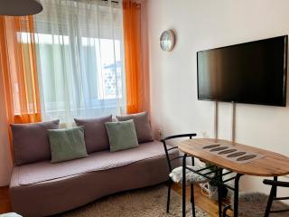 Mina Penthouse - Novi Sad - 8