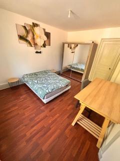 TK Appartment - Mulhouse - 3