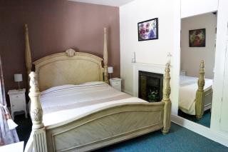 Country Mansion - Private Annexe - Llanwrda - 1