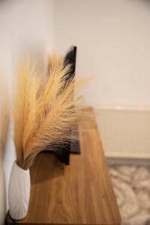 Extra Large Modern Studio Flat In Kent - Maidstone - 7