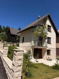 Samsa lux house in the center of Žabljak - Žabljak - 0