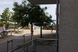 Inselblume 49 - Ferienwohnung im Erdgeschoss der Strandburg - Burgtiefe auf Fehmarn - 6