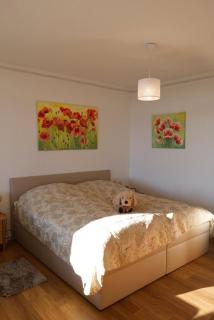 Inselblume 74 - Ferienwohnung mit Balkon am Yachthafen - Burgtiefe auf Fehmarn - 9