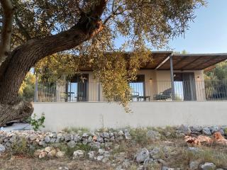 Spitaki Among Olives - Tsoukalades - 0