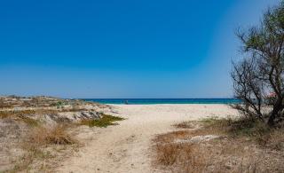 Villa Vanda ad un passo dal mare - 6