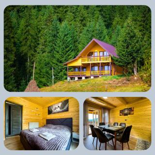 Котедж Forest house - Verkhovyna - 9
