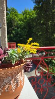Anna Apartman - Hévíz - 7