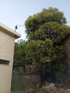 Feel the Nature Bed & Breakfast Gjirokaster - Polisi i Vogël - 1