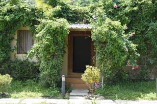3 bedrooms farmhouse, homestay near trimbak - Trimbak - 6