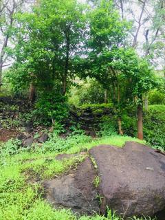 3 bedrooms farmhouse, homestay near trimbak - Trimbak - 8