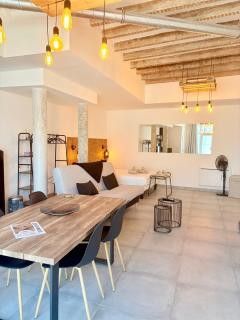Loft avec terrasse au pied du château - Amboise - 3