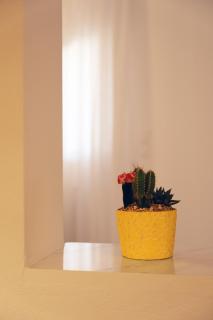 Manolia house near beach - Aghia Marina - 9
