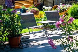 Pensiunea Mioara 2 Mai - 2 Mai - 3