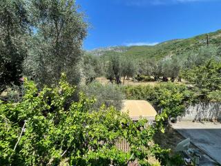 Aparments in the olives - 5