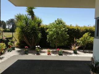 Single House - Vila Real - 9