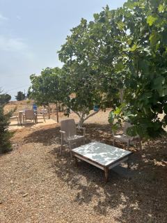 Camping Gourogo - Nador - 6
