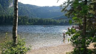 Knödl-Alm Waldhäusl - Bad Mitterndorf - 9