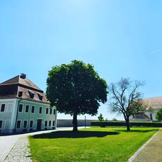 Ferienhaus Donauliebe - Vohburg an der Donau - 2