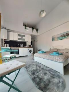 Otopeni Studio Airport Therme C1A4 - Otopeni - 0