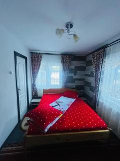 Casa Ovidiu - Pojorâta - 2