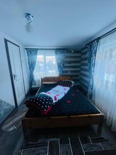 Casa Ovidiu - Pojorâta - 6
