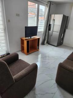 Spacious House in Brunehaut with Lake View - - 6
