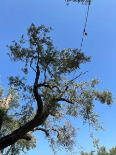 Camping Qeparo - Qeparo - 3