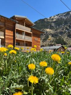 Apart-Hotel Laurus Lech - Lech am Arlberg - 0
