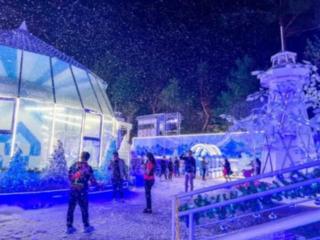 Cozy Guest House 3rd flr - Baguio - 9
