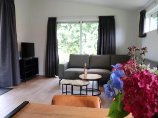 Spacious chalet in a rural location near Giethoorn - Blesdijke - 7