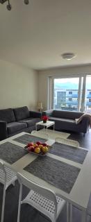 Appartement entier 85m2, 2 chambres, 2 salles de bain, salon, cuisine entièrement équipée, au Bouveret - Port-Valais - 8