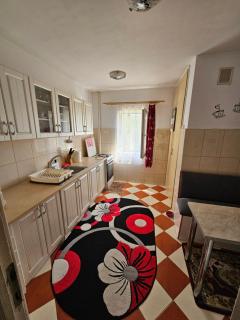 Apartament Voinicilor - Arad - 4