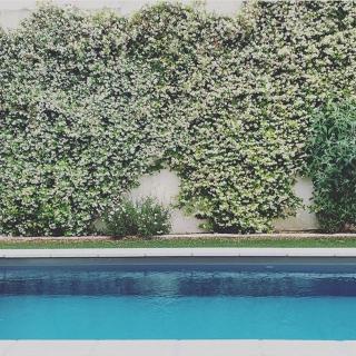 Old house completely renovated with pool ! - Grabels - 6