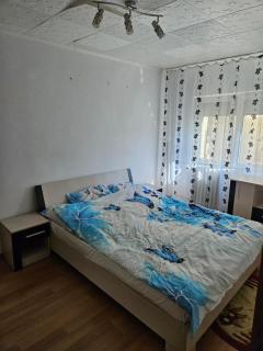 Apartament Voinicilor - Arad - 1
