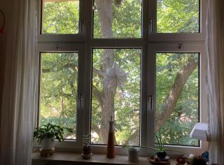Wohnung mit grüner Aussicht - 2