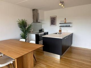 Frederiksberg stunning apt - Copenhagen - 9