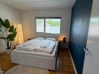 Frederiksberg stunning apt - Copenhagen - 2