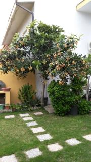 Casa vacanze Rose E Fiori Sardegna - San Vito - 6