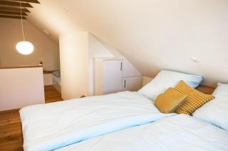 Ferienwohnung in der alten Scheune Wiesenblick für 3 Personen - - 6