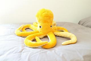 Flechtdorfer Waldblick - 130 qm großes Ferienhaus und großem Grundstück und Bachlauf und Terrasse für 6 Gäste - 1