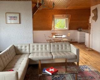 Vue et emplacement exceptionnels, toutes commodités, desservi bus lausannois - Pully - 3