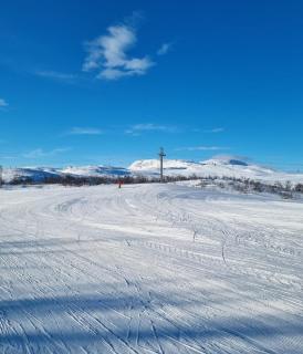 Bloksberg - cabin with amazing view and ski inn-out - Hol - 7
