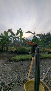 Abadi's Homestay - Tanjung Karang - 1