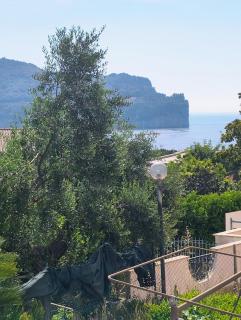 Villa Angelina - 5