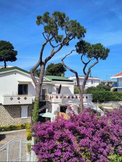 Villa Angelina - 3