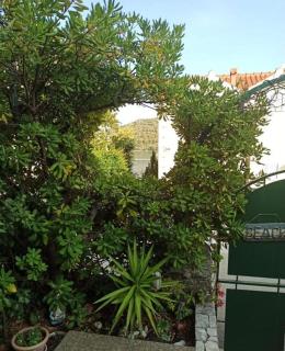 Holiday House Linda Seget Vranjica - Seget Vranjica - 7