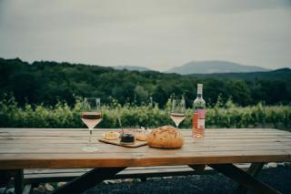 Parcel Tiny House au coeur des vignes proche Mont Ventoux - Saint-Romain-en-Viennois - 5