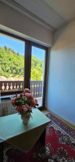 Rustic Tălmăcel Transilvania - Tălmăcel - 3