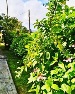 Apartamento Enzo - 1